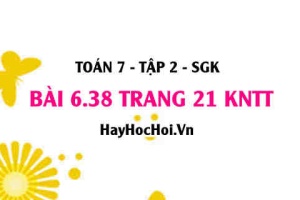 Bài 6.38 trang 21 Toán 7 Tập 2 Kết nối tri thức